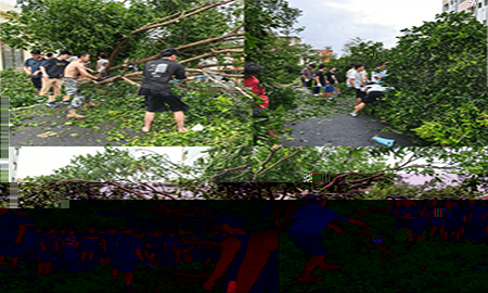 同心協力 重建家園—365英国上市官网在线師生積極參與台風災後恢複工作